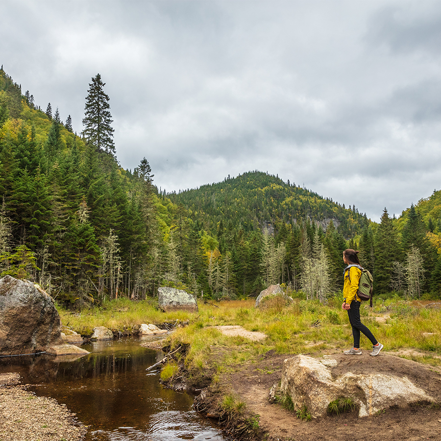Travel hike forest nature hiker woman walking in canadian woods in fall autumn season, by beaver dam in Quebec National Park Parc de la Jacques Cartier, Canada destination.