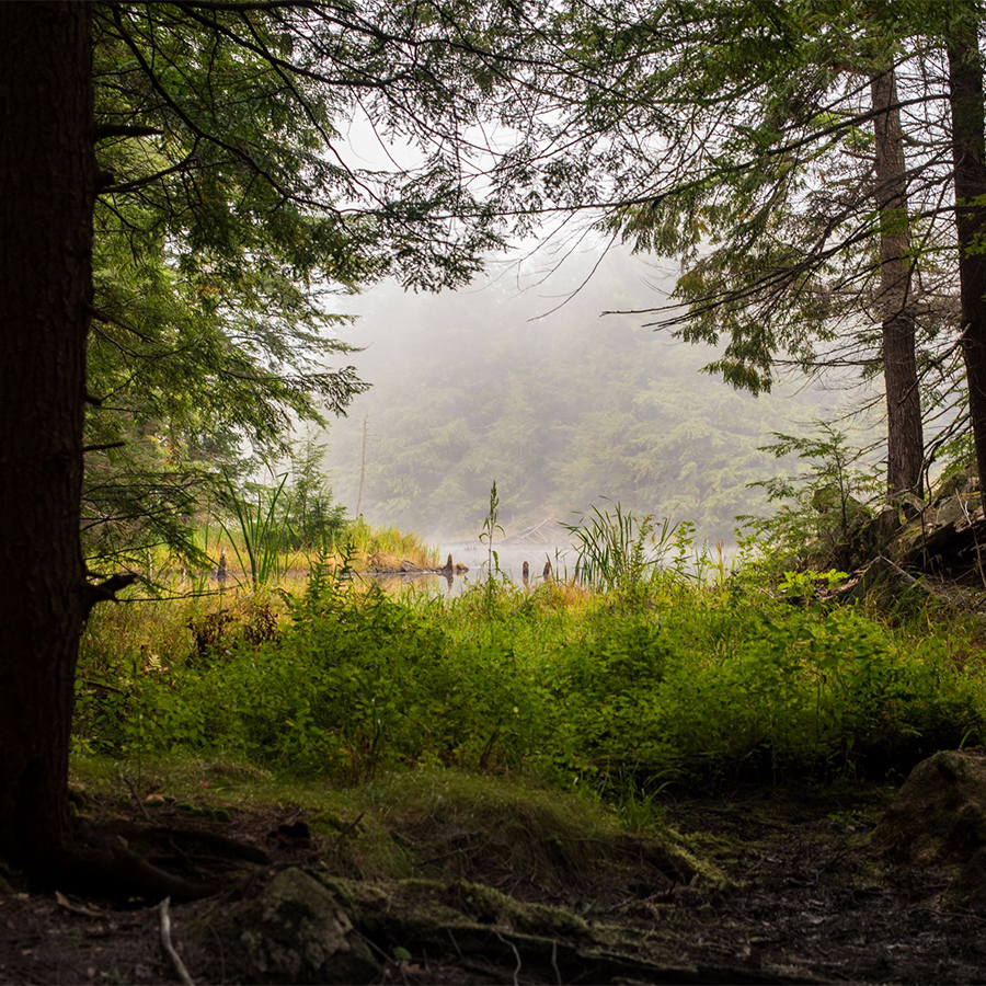 Photographie : Grégoire Crevier