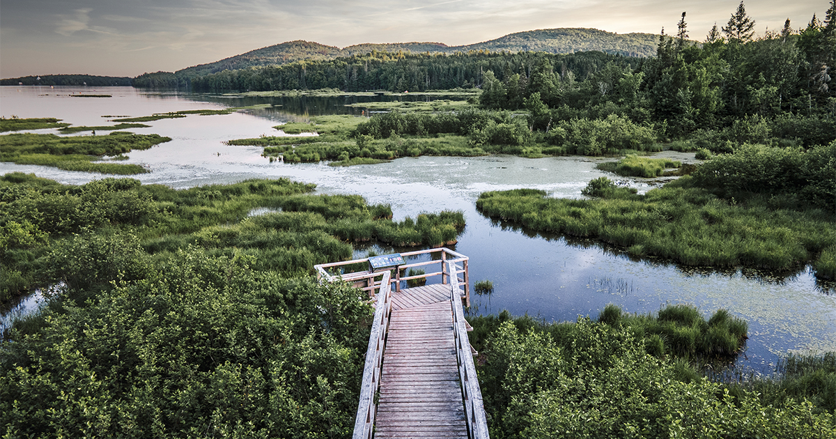 Marais du Nord par Mélanie Jean