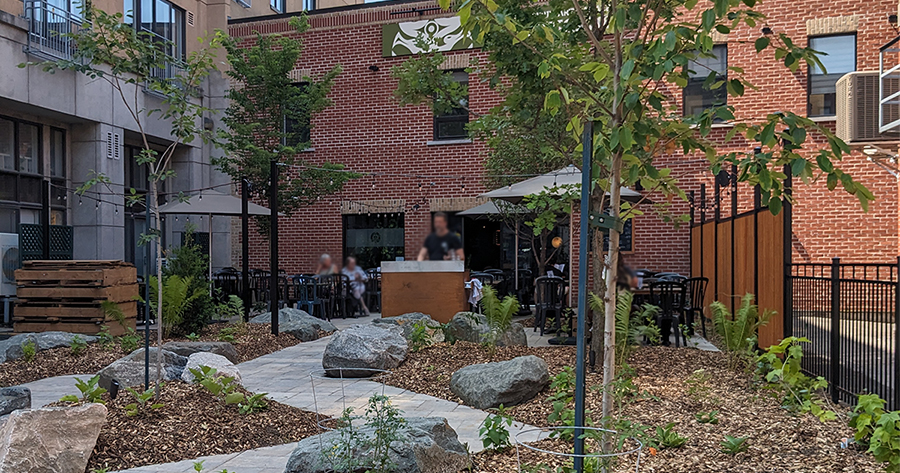 Nouvelle Oasis dans Saint-Roch : La Korrigane et Nature Québec s'allient dans le verdissement du quartier