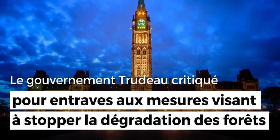 Des scientifiques internationaux critiquent le gouvernement Trudeau pour ses tentatives d’entraver des mesures visant à stopper la dégradation des forêts