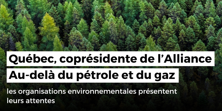 Alors que le Québec assume la coprésidence de l’Alliance Au-delà du pétrole et du gaz, les organisations environnementales présentent leurs attentes pour ce nouveau rôle