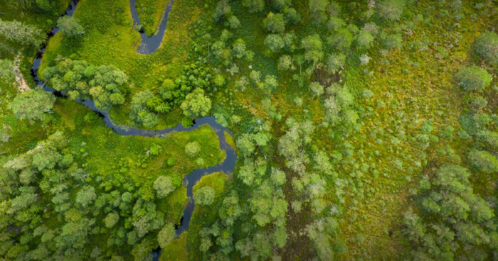 Enjeux environnementaux 2024 : quoi surveiller ?