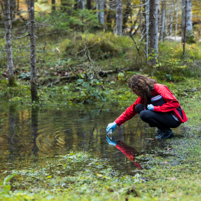 Femmes et changements climatiques : Inégalités, résilience et actions locales au Québec