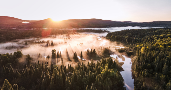 5 éléments clés pour développer des solutions nature dans vos municipalités