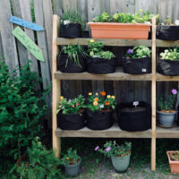PH_POTS_PLANTES_2-lo PH_POTS_PLANTES_2-lo
