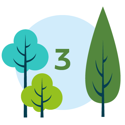 Schéma présentant trois arbres