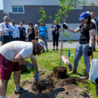 ph-envur-plantation-arbre-equipe-202406 ph-envur-plantation-arbre-equipe-202406
