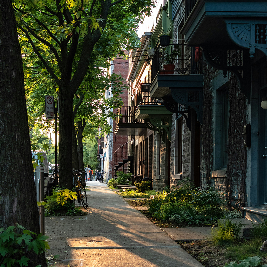 Rue de Montréal présentant des arbres matures et avec des infrastructures favorisant le transport actif