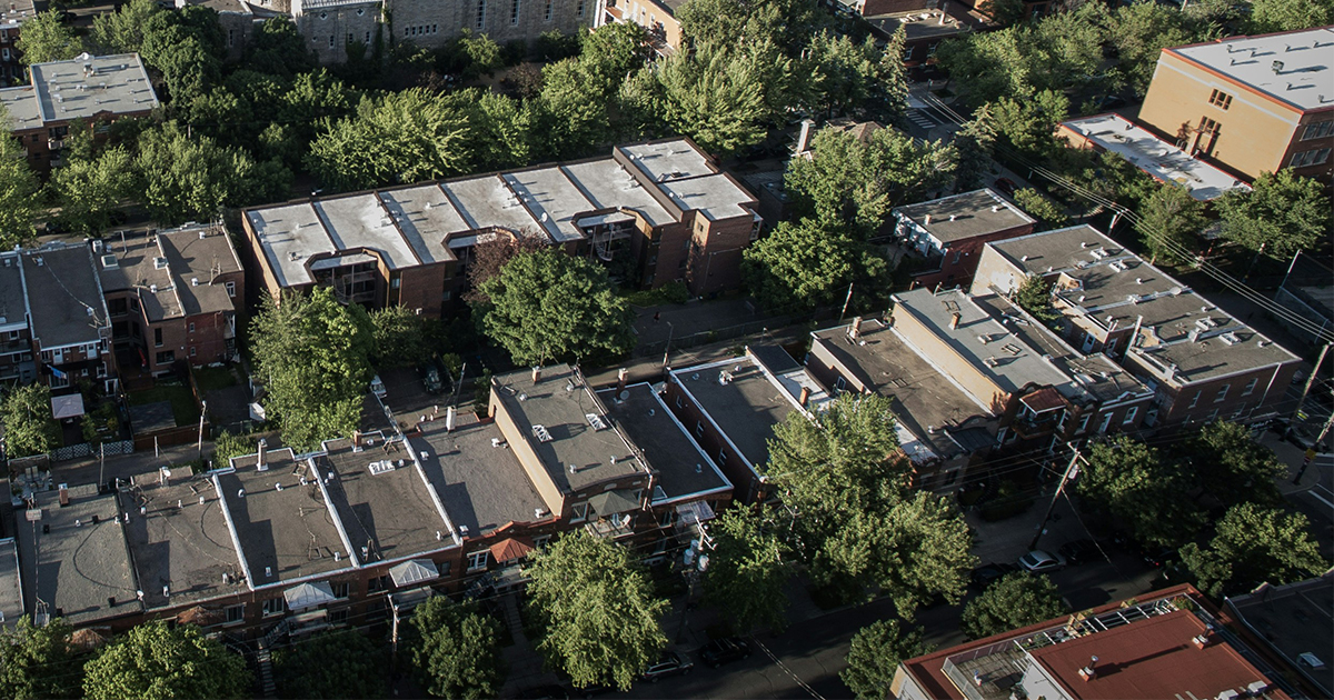 Quartier résidentiel avec des arbres matures