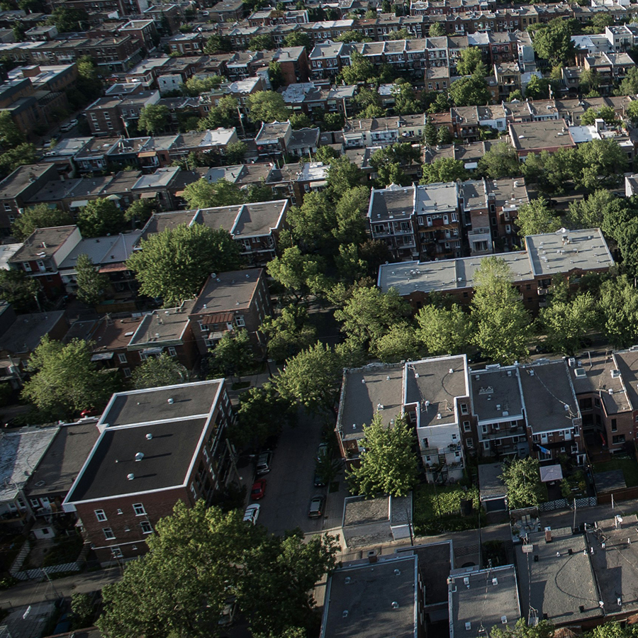 Quartier résidentiel avec des arbres matures