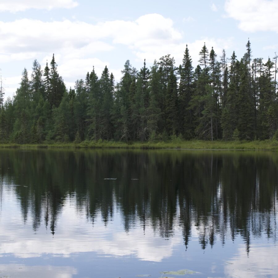 PH_Nature_Alliee_Recherche_20240805_166