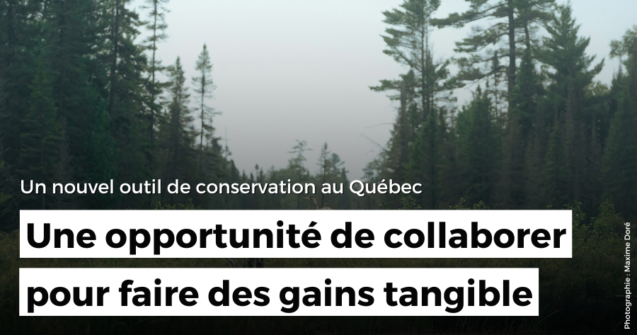 Un nouvel outil de conservation au Québec - Nature Québec y voit une opportunité de collaborer pour faire des gains tangibles